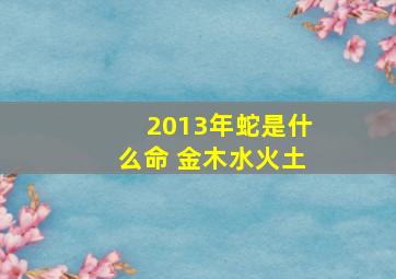 2013年蛇是什么命 金木水火土